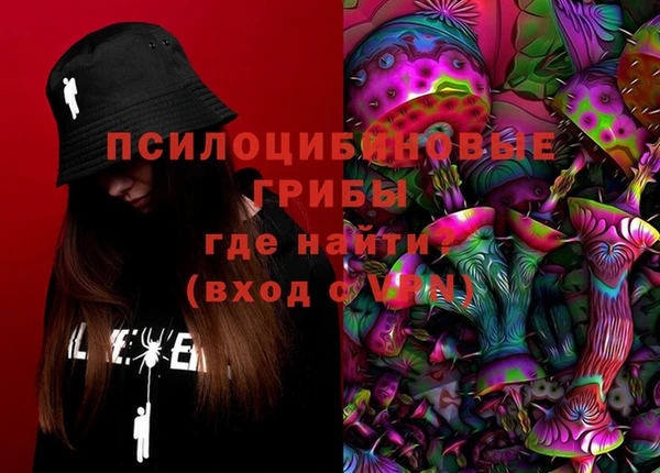 эйфоретик Сатка