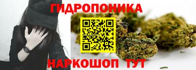 стаф Будённовск