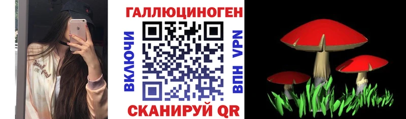 Псилоцибиновые грибы Magic Shrooms  наркота  Когалым 
