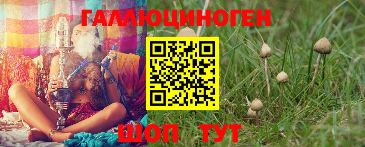 Когалым  Галлюциногенные грибы GOLDEN TEACHER  Вход с VPN 